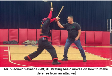 Arnis Photo3
